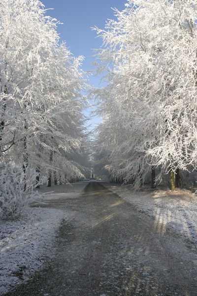 n_Linschoten. 30.jpg